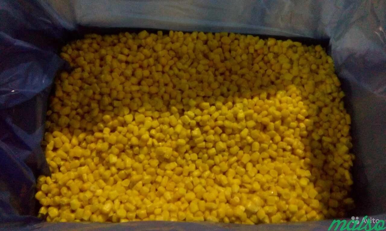 Кг кукурузы. Цельное зерно кукурузы. Кг кукурузы. Сухая кукуруза для рыбалки. Кукурузные зерна.