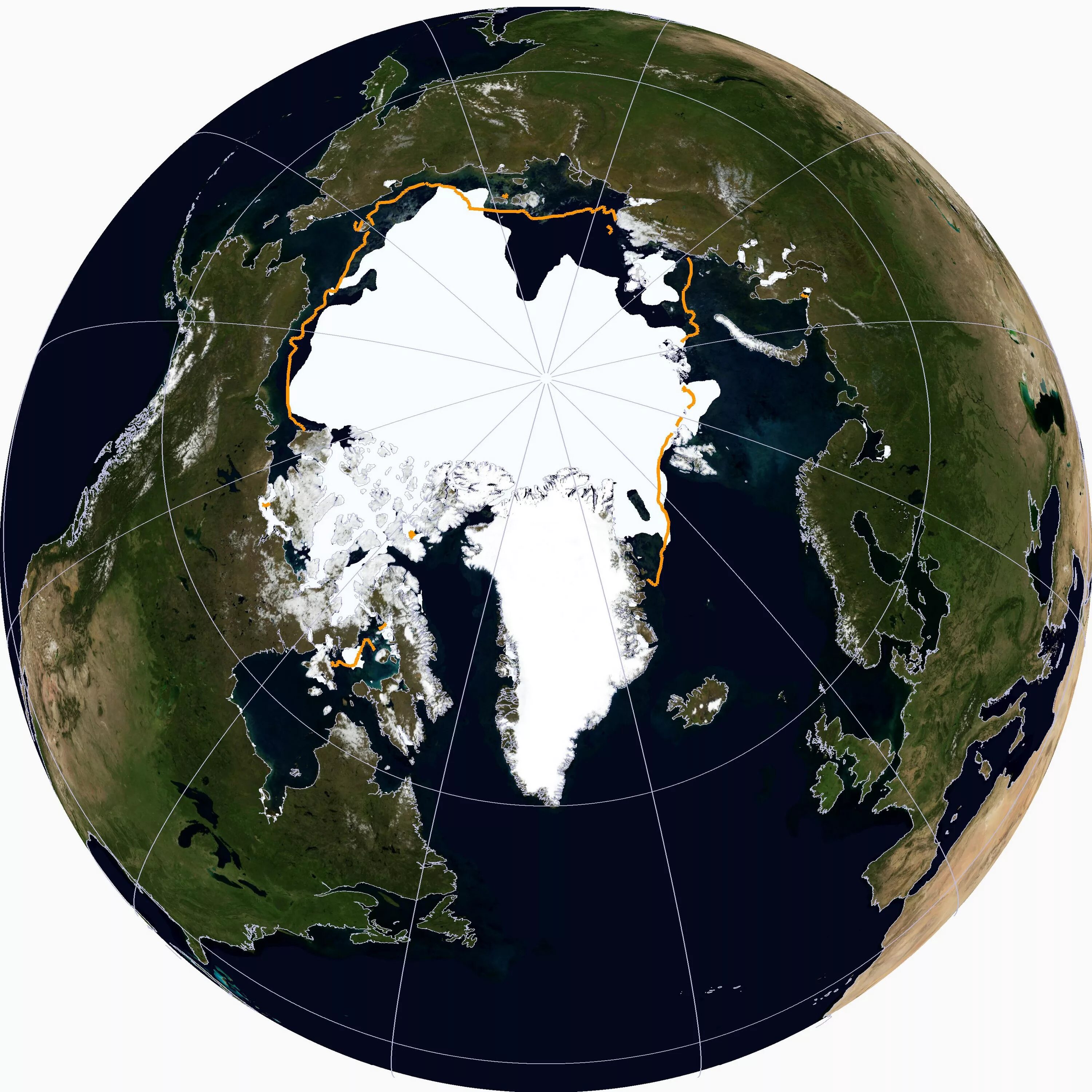 Северный Ледовитый океан на карте Глобус. Северный полюс Арктика на глобусе. Северный Ледовитый океан и Антарктида на глобусе. Глобус земли северно Ледовитый океан. Найти на глобусе северный ледовитый океан