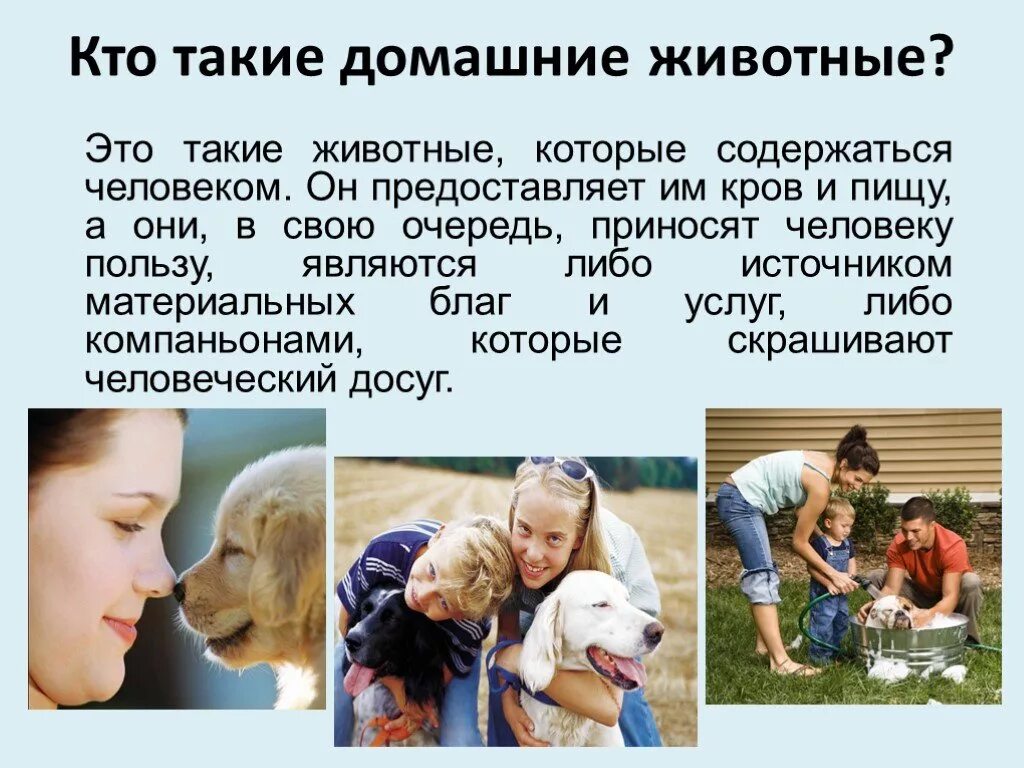 Кто такие домашние животные