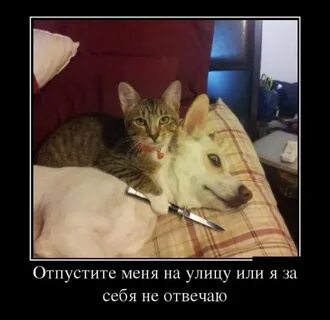 Никто не перепутал