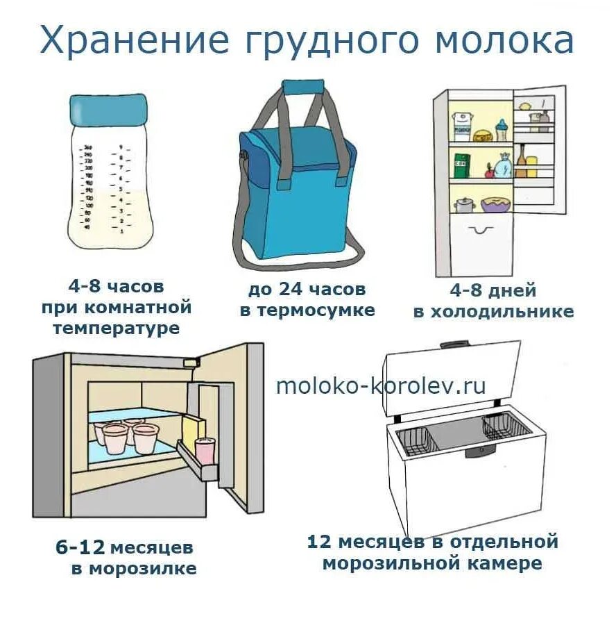 В чем хранить молоко в холодильнике. Хранение сцеженного грудного молока в холодильнике. как хранить грудное молоко в холодильнике. как правильно хранить грудное молоко после сцеживания. грудное молоко хранение в холодильнике сколько.