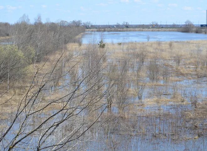 Уровень воды в реке ока город рязань. Половодье на Оке Рязань. Уровень реки Ока в Рязани. Половодье на р Ока. Уровень воды в реке Ока около Рязани.