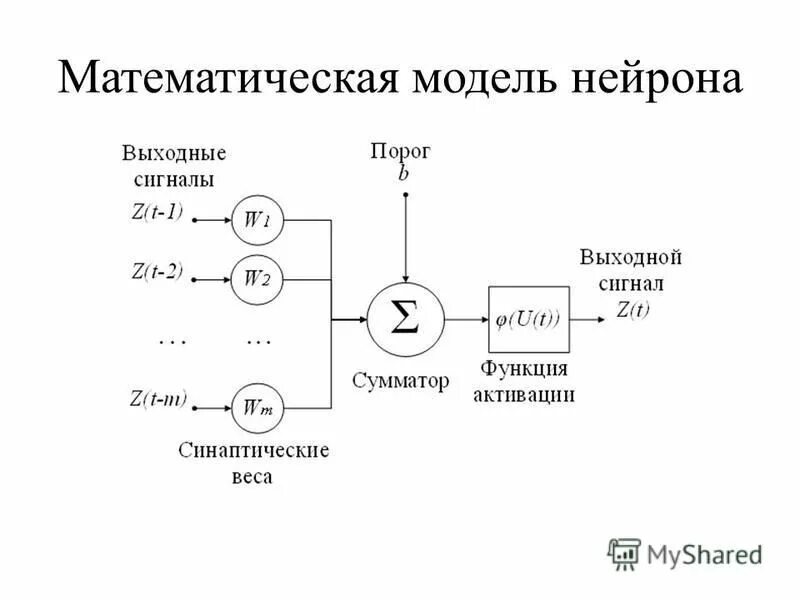 Математическая модель искусственного нейрона. Моделирование нейрона. Модель нейрона в нейронной сети. Нейросеть строение нейрона. Нервная клетка.
