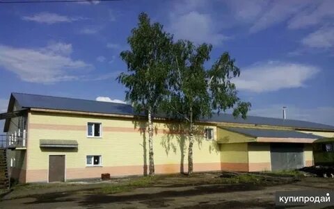 Продать шахунья