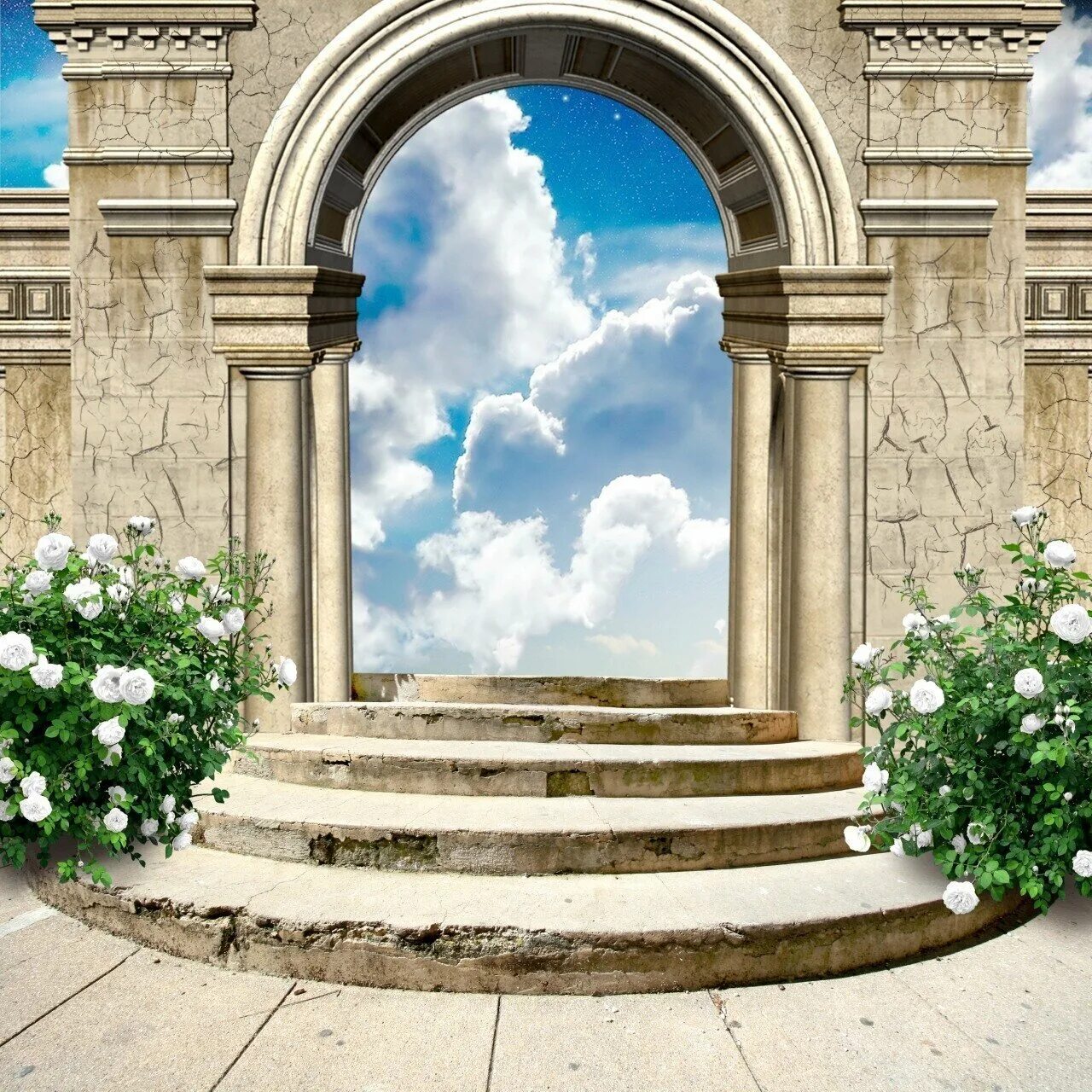 Картинки арк. Арк сурвайвал эволв значок. Логотип арк сурвайвал. Ава арка. Ава арка.