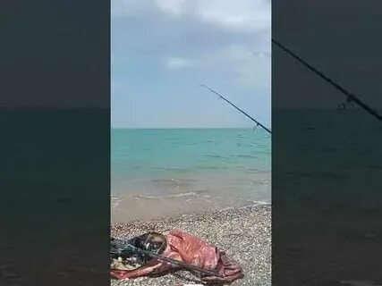 Рыбалка в николаевке