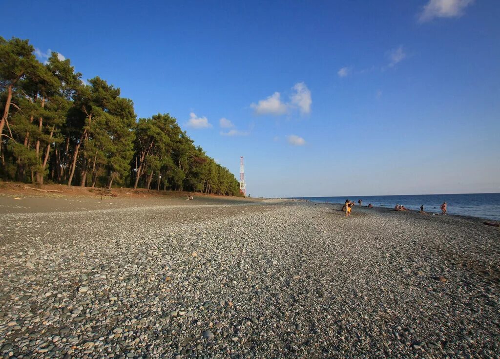 Пляж Пицунда Абхазия. Лдзаа Абхазия песчаный пляж. Абхазия кипарисовый пляж Пицунда. Пляж Лдзаа Абхазия. Талион пицунда