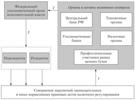 Валютный финансовый контроль