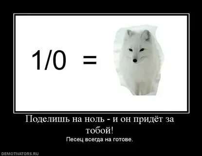 В высшей математике можно делить на 0