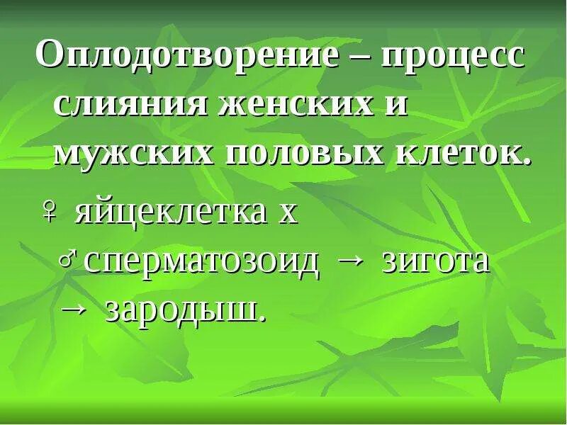 Оплодотворение биология 6 класс кратко. Размножение и оплодотворение у растений. Размножение с оплодотворением. Оплодотворение у растений презентация. Оплодотворение растений 6 класс.