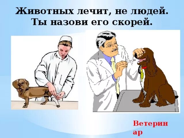 Человек который лечит зверей. Как зовут людей которые лечат животных. как называется человек который лечит животных. как зовут врача который лечит животных. как называют человека который лечит зверей.