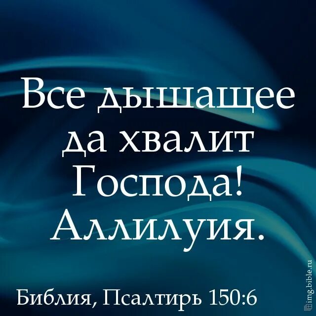 Псалмы 150 читать на русском. Все дышащее да славит Господа. Все дышащее да хвалит Господа! Аллилуия.. Всё дышащее да славит Господа Библия. Псалтырь Хвалите Бога.