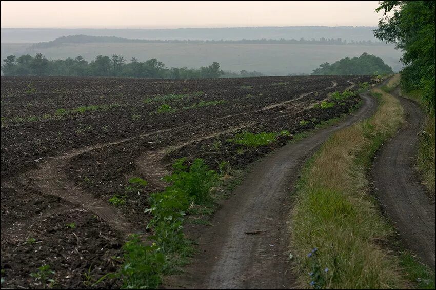 грунтовые полевые дороги