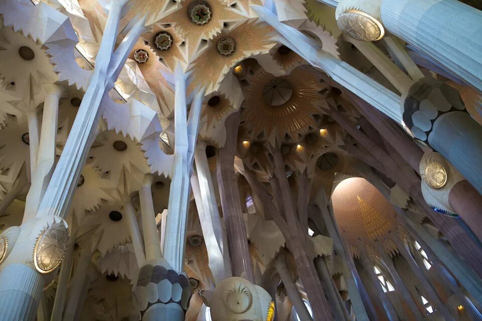 Саграда фамилия черепаха. Саграда фамилия наклонные опоры вероника. Саграда фамилия фасад рождества. Собор саграда спираль. Иисус парашютист саграда фамилия.