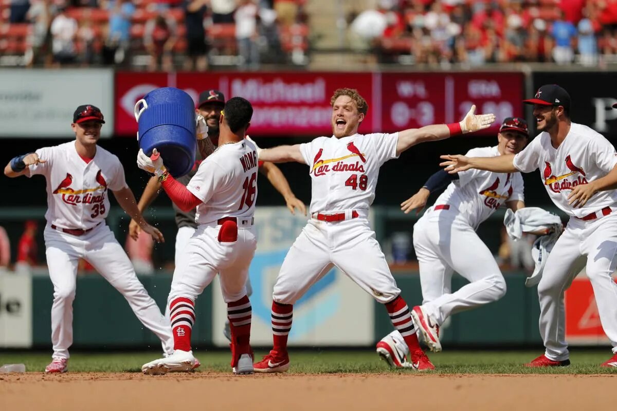 Бейдер Бейсбол. Бейсболисты Saint Louis Cardinals. Кардиналс Бейсбол арт. Бейсбол московские кардиналы.