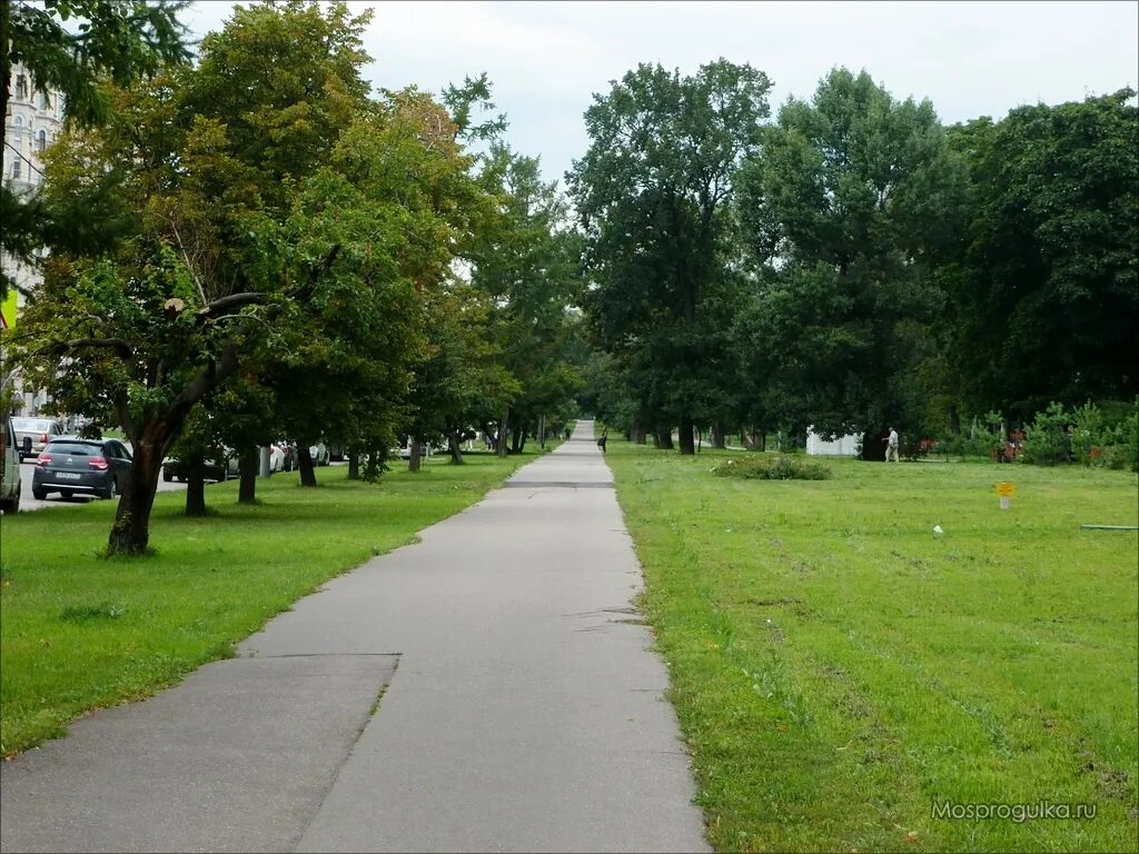 Кафе березовая роща москва. Куусинена улица парк березовая роща. Куусинена улица парк березовая роща. Парк березовая роща ул куусинена. Парк березовая роща полежаевская.