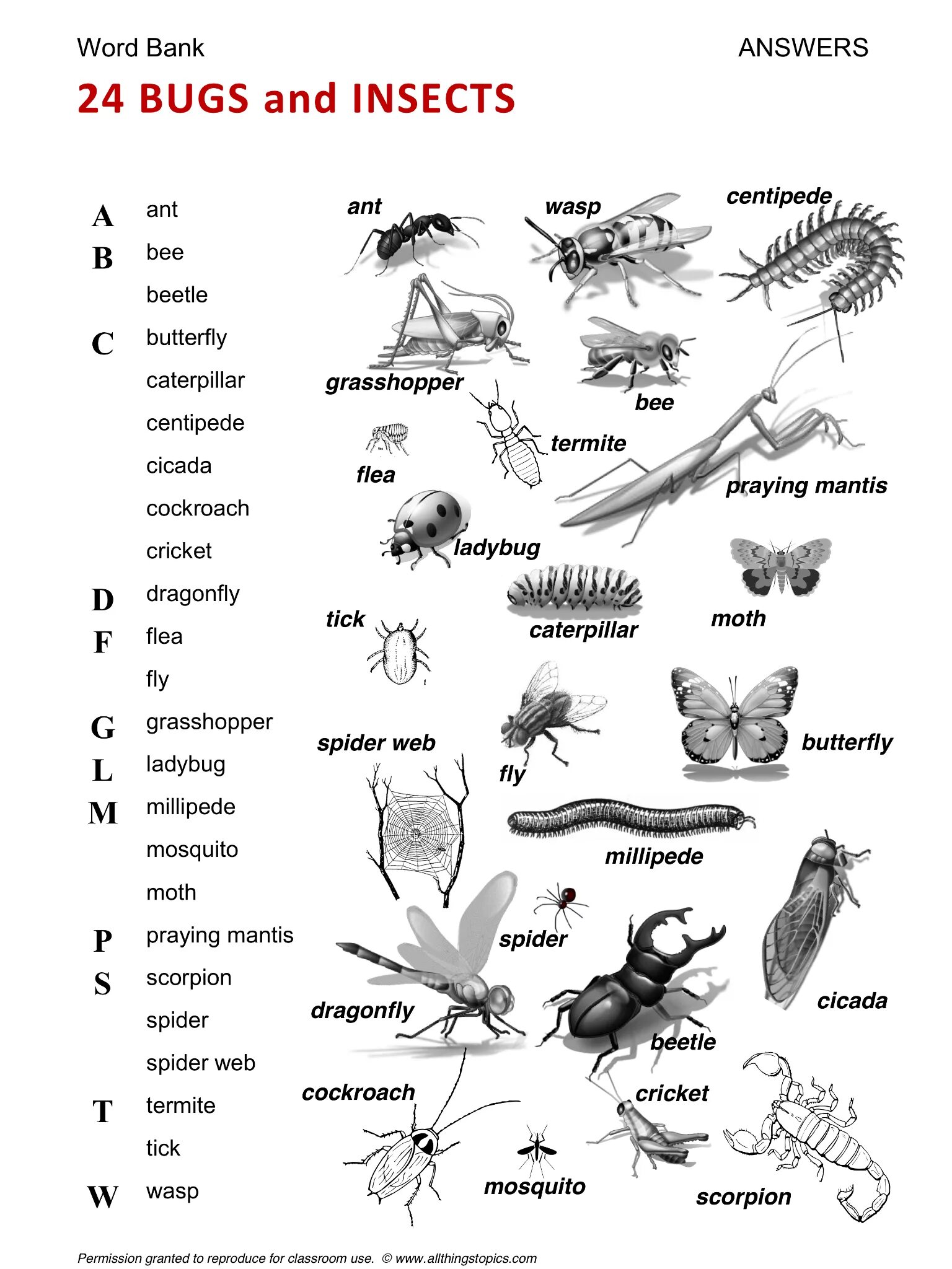 Тесты по биологии по насекомым. Насекомые на английском языке. Животные и насекомые на английском языке. Тема насекомые английский. Название насекомых по английски.