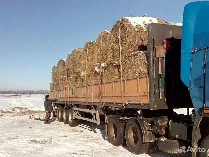 Мтз 1221 с прицепом. Сено в рулонах. Трактор с прицепом для перевозки соломы. Сено в тюках. Погрузка рулонов сена.