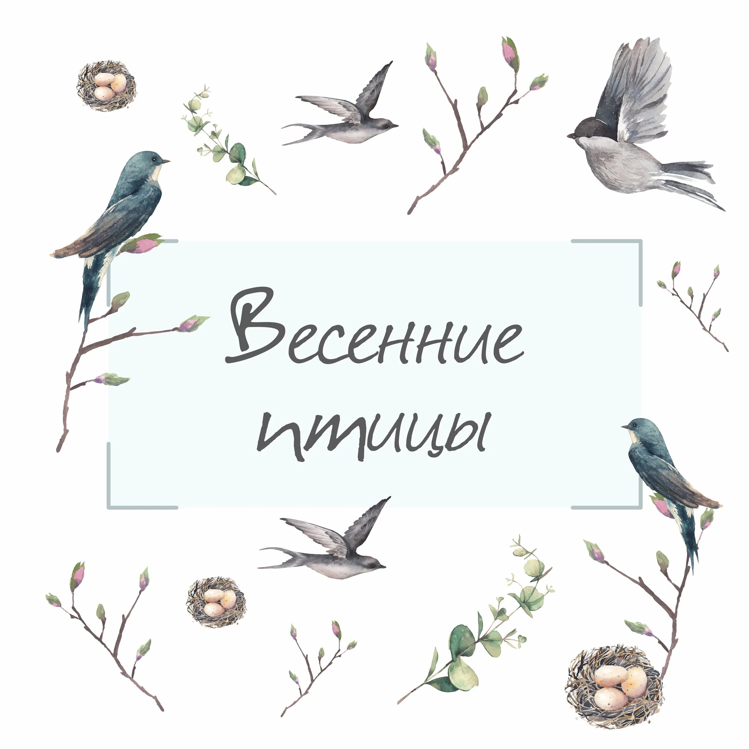 Птицы весной цель. Весенние наклейки птицы. Наклейки с весенними птичками рисунком. Весенние птички Стикеры.