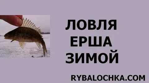 Где поймать ерша