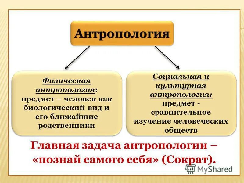 Физическая антропология задача. Социально-культурная антропология. Объект исследования антропологии. Антропология предмет изучения. Указать отличие физических и