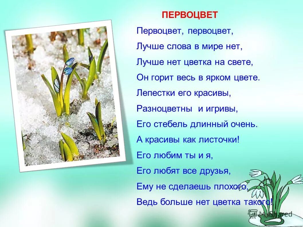 Стих про подснежник для детей 3 4