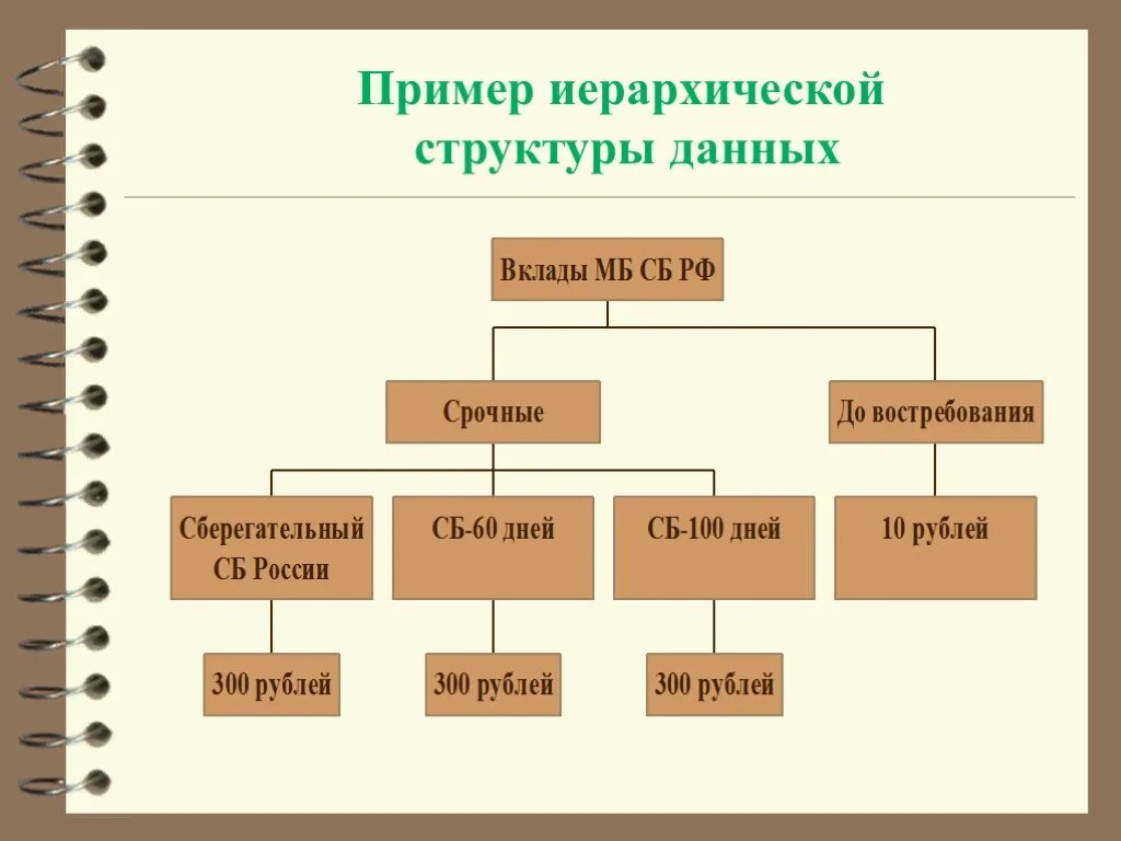 Примеры структуры информации. Иерархическая структура пример. структура данных пример. пример иерархической структуры данных. иерархическая структура базы данных.