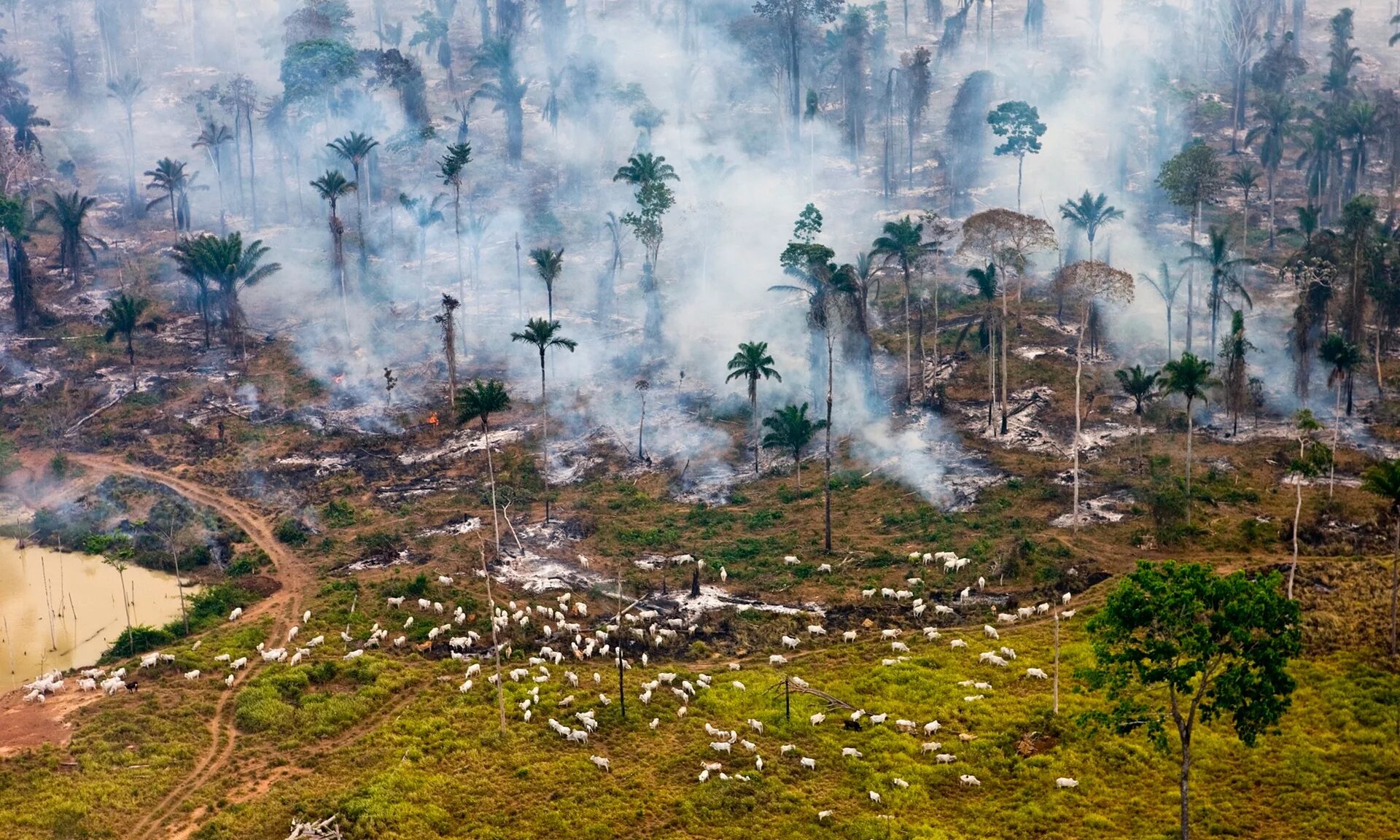 Destroy environment. Destroy environment