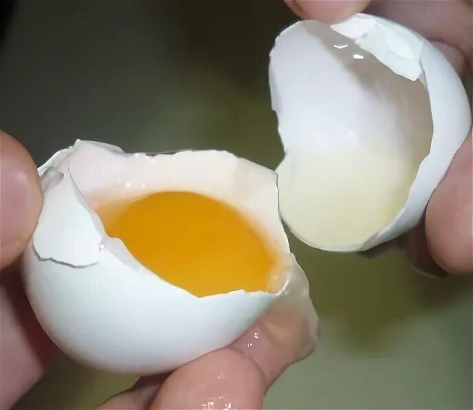 Зеленый белок в яйце. Зеленый белок в курином яйце. Мягкая скорлупа у куриных яиц. Почему скорлупа мягкая