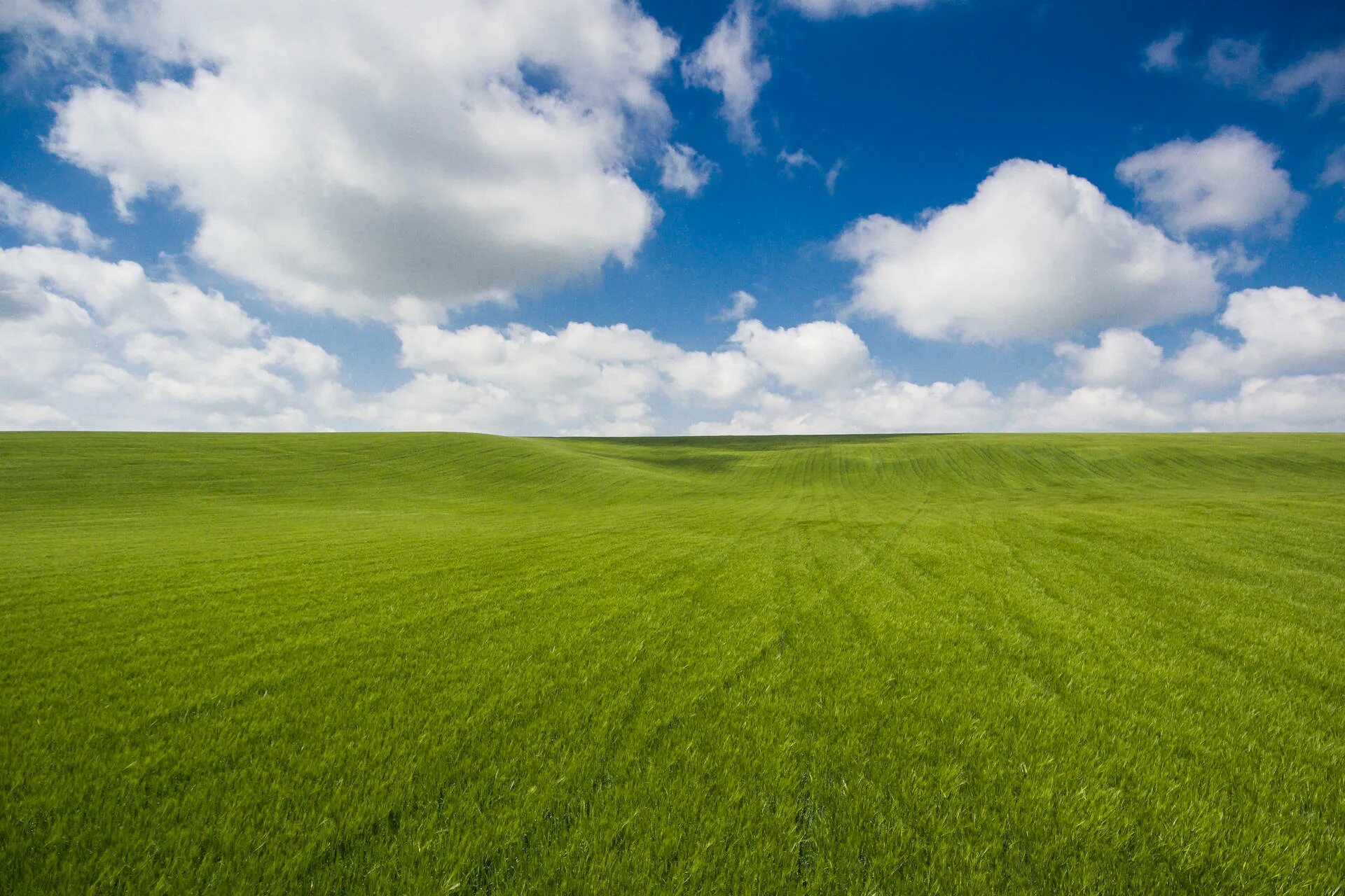 Поставь зеленое поле. Зеленое поле. Трава и небо. Фон поле. Земля поле.