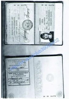 Регистрация скан