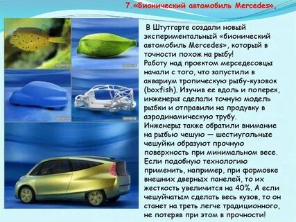 Примеры бионики в жизни человека