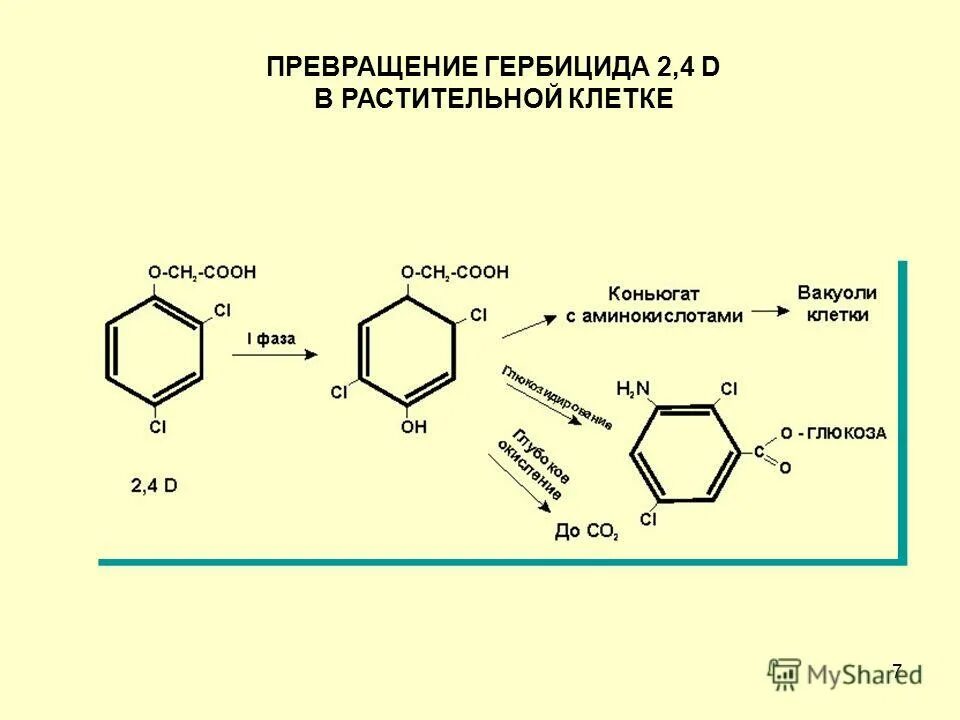 химическое превращение, которое нельзя осуществить в одну стадию. превращение белков в организме. цепочка превращений соединения железа. супероксиддисмутаза. Cu hcl конц.