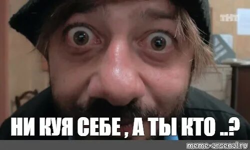 Ну вы блин даете картинки. Ниче. Да да да мем. Ну шо мем. Дурные коты.