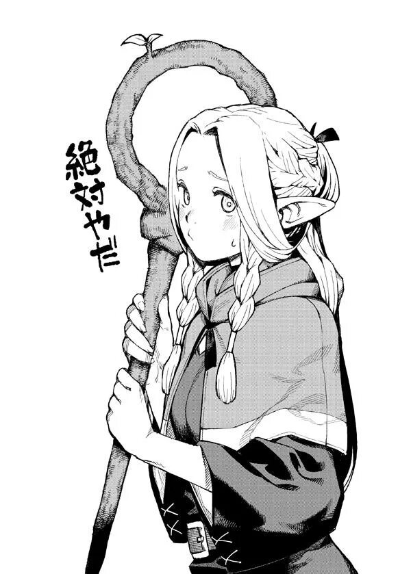 Marcille Dungeon Meshi. Dungeon Meshi Farlyn. Dungeon Meshi Art. Dungeon meshi characters