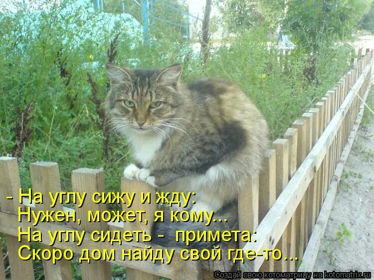 в гостях хорошо а дома лучше. скоро дом. скоро в дом. скоро в отпуск. в гостях хорошо а дома лучше картинки.