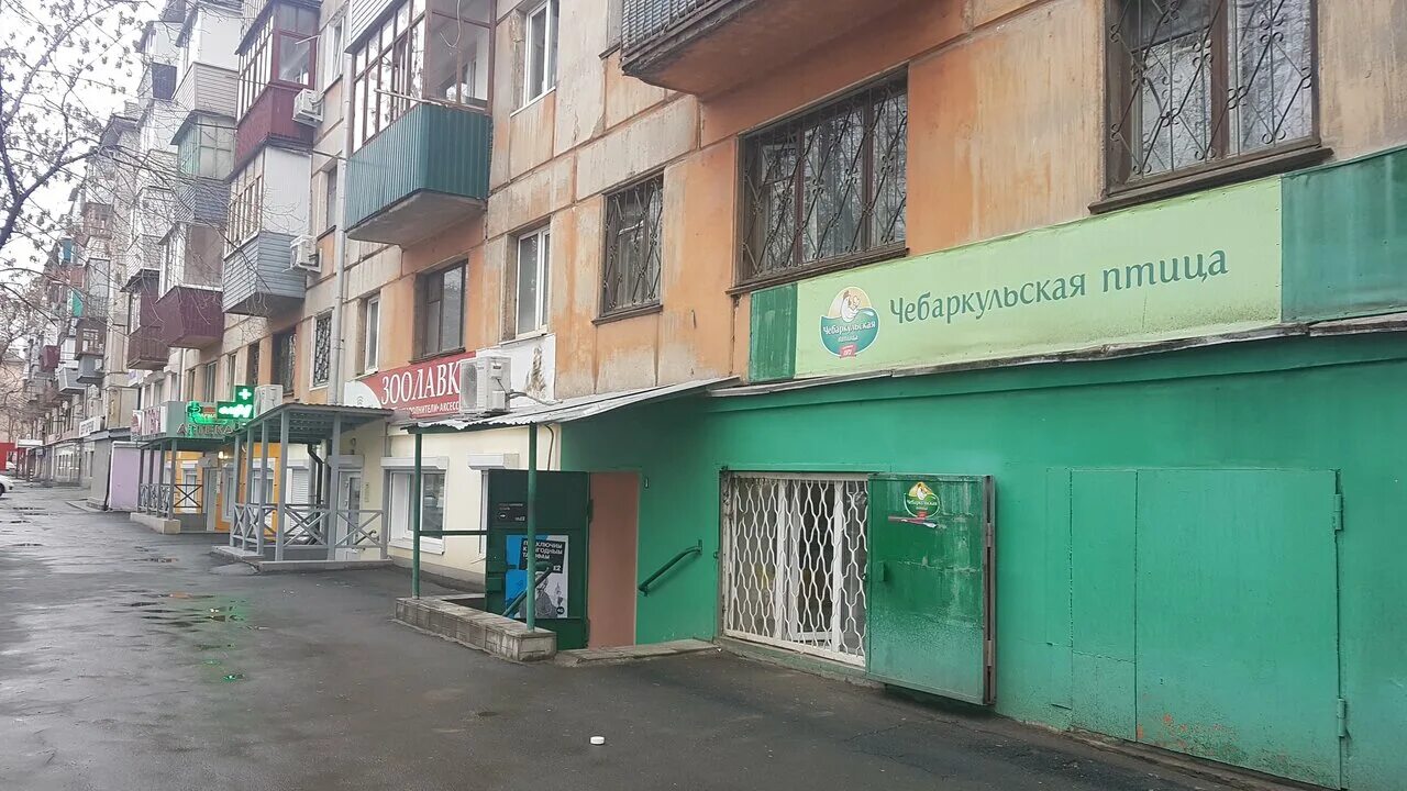 зоомир орск ленина 93. магазин животных орск. зоомагазины в орске с животными. зоомагазин орск. зоомагазины в орске на строителей.