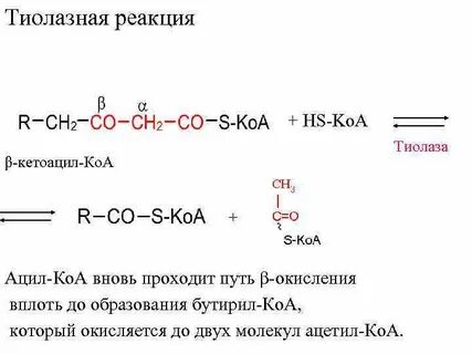 С ней реакция