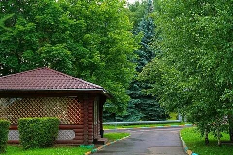 Басовская 10 подворье