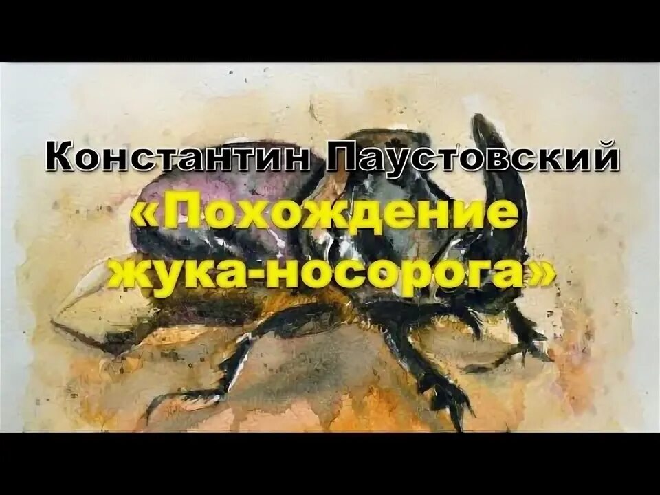 Похождение жука носорога слушать. Паустовский похождения жука носорога. Жук носорог на войне. Похождения жука-носорога книга. Жук носорог Император.