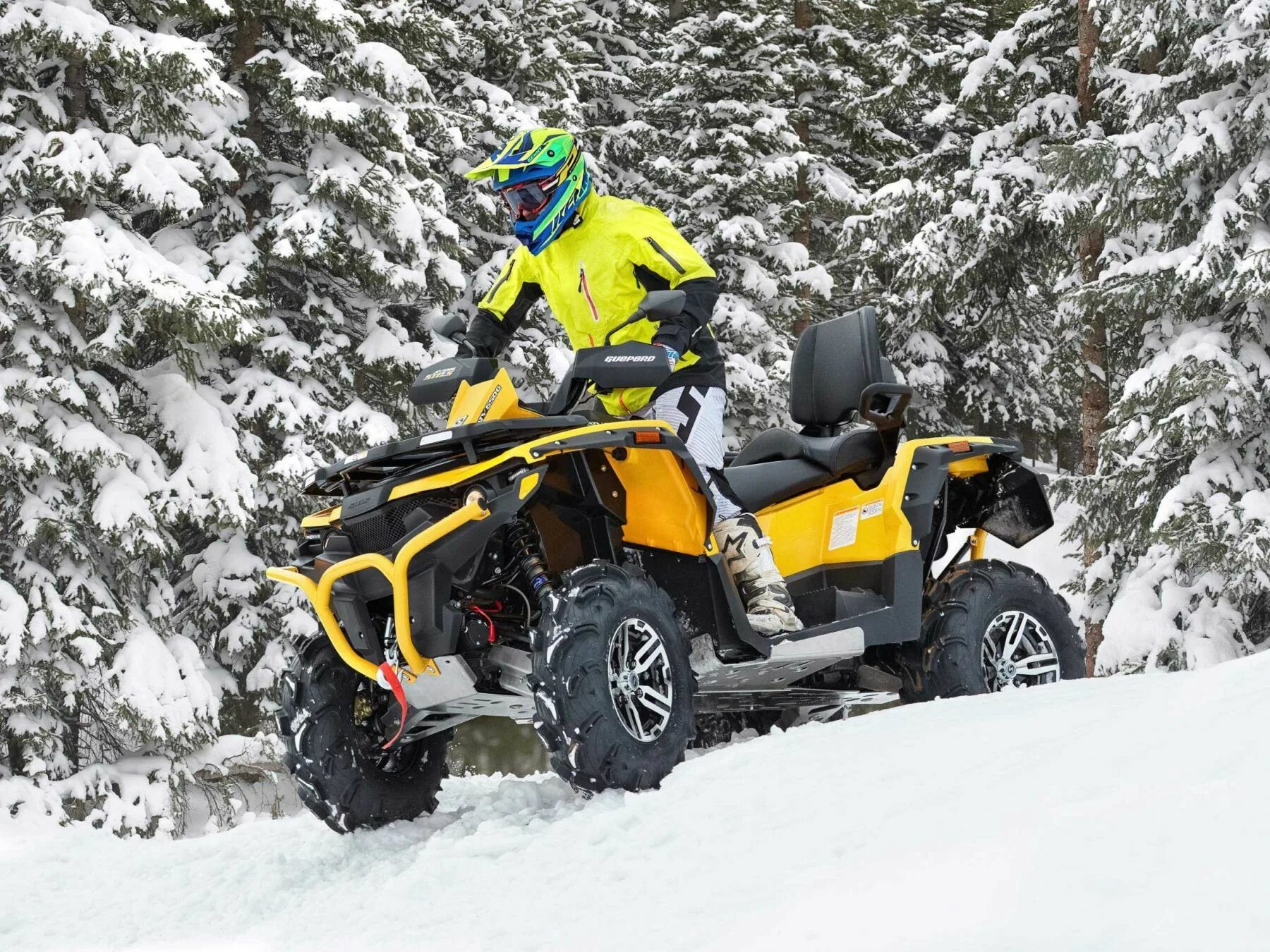 Куплю снегоход квадроцикл. Квадроцикл stels atv 650 Guepard Trophy. Квадроцикл stels Guepard 650. Stels Guepard. Квадроцикл stels atv 800g Guepard St.