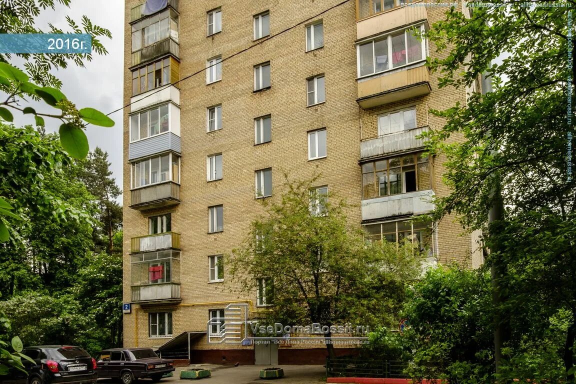 Зеленая 39 60 фото - ZooClever.ru