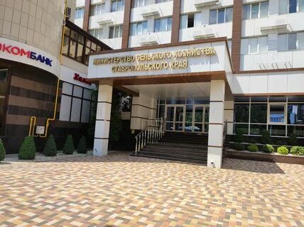 Улица мсх