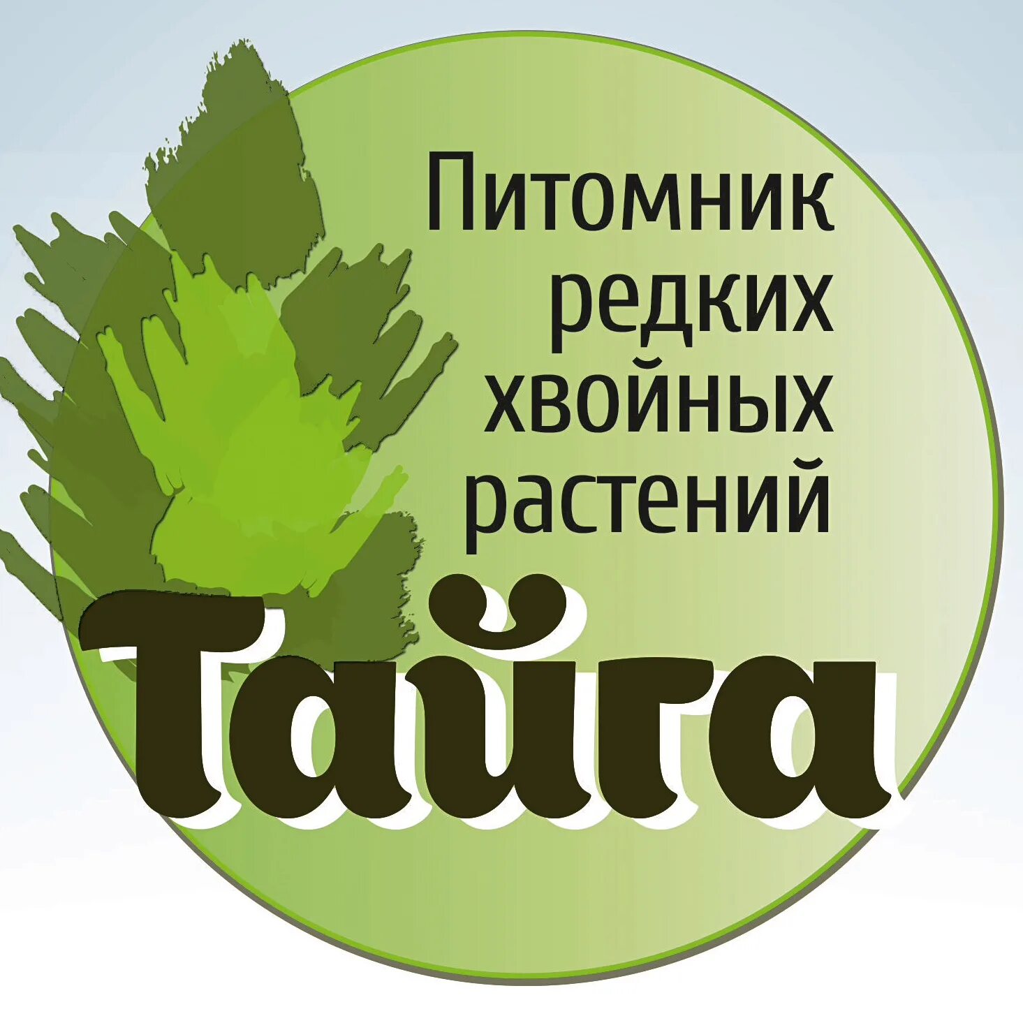 Питомники заказ. Логотип питомника растений. Питомник Тайга. Эмблемы питомников растений. Питомник растений.