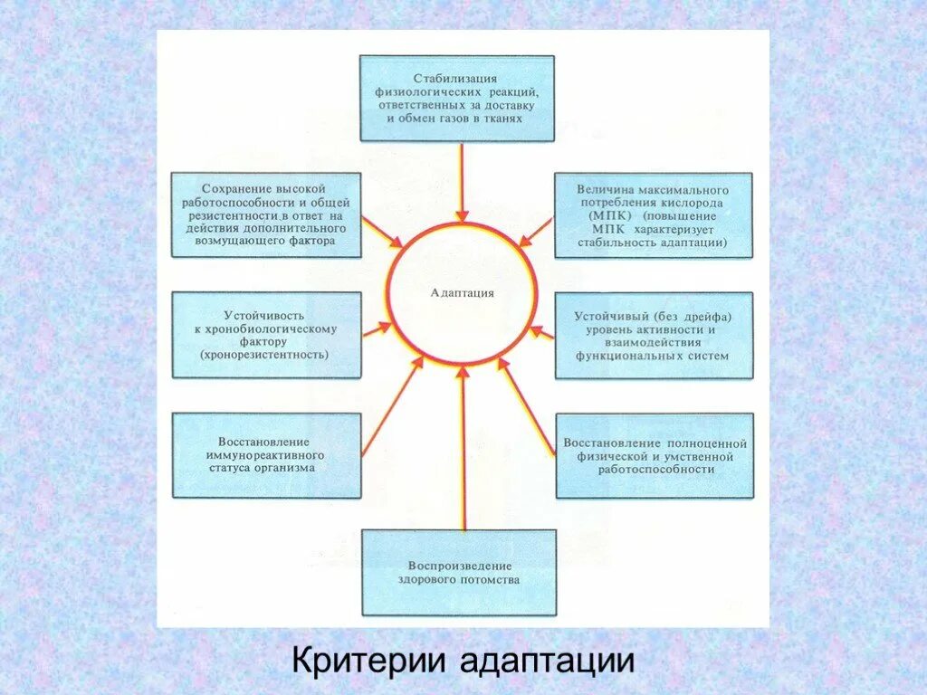 Разделение адаптации. Адаптация к условиям окружающей среды. Адаптация организмов к условиям окружающей среды. Адаптация человека к среде. Адаптация человека к среде обитания.