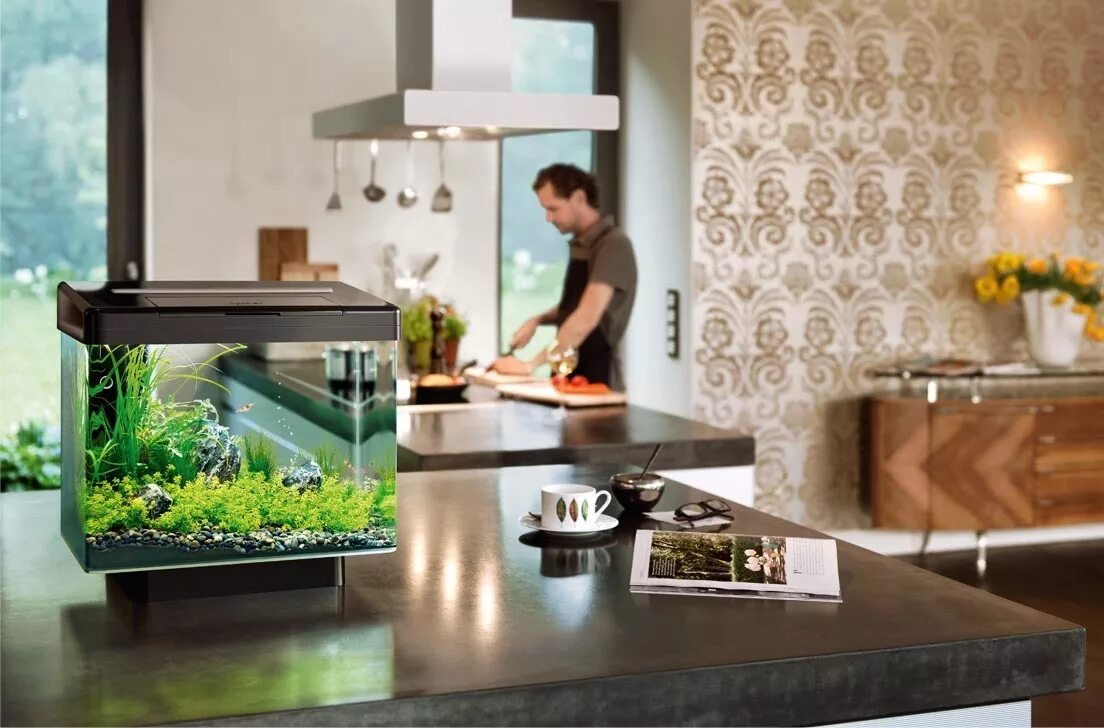 Панорамный аквариум в интерьере. Красивые аквариумы в квартире. Аквариум в интерьере. Зонирование аквариумом. Небольшой аквариум в интерьере.