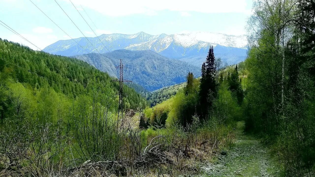 Линза по дороге из саяногорска в черемушки. Черемуховый Лог в Черемушках Хакасия. Черемушки Хакасия горы. Черемуховый Лог летом Хакасия. Черемуховый Лог Хакасия горнолыжный.