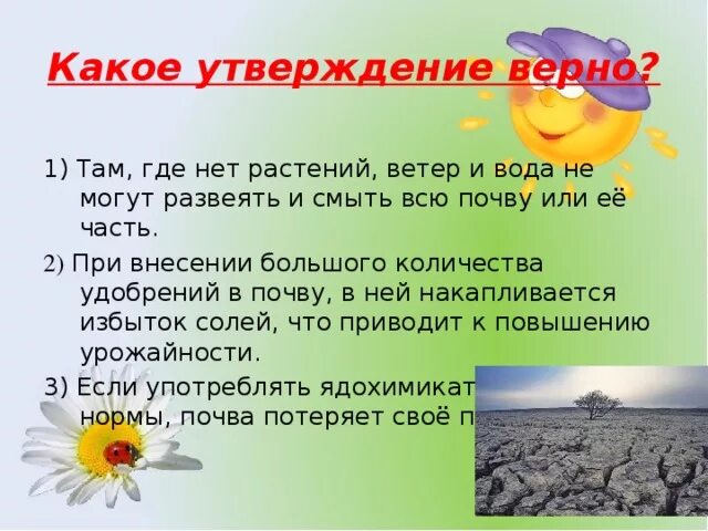 Какое утверждение верно география. Какое утверждение верно окружающий мир. Верные утверждения о растениях. Какое утверждение верное окружающий мир растения. Какие утверждения верны все растения состоят.