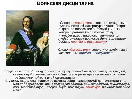 Дисциплина в литературе