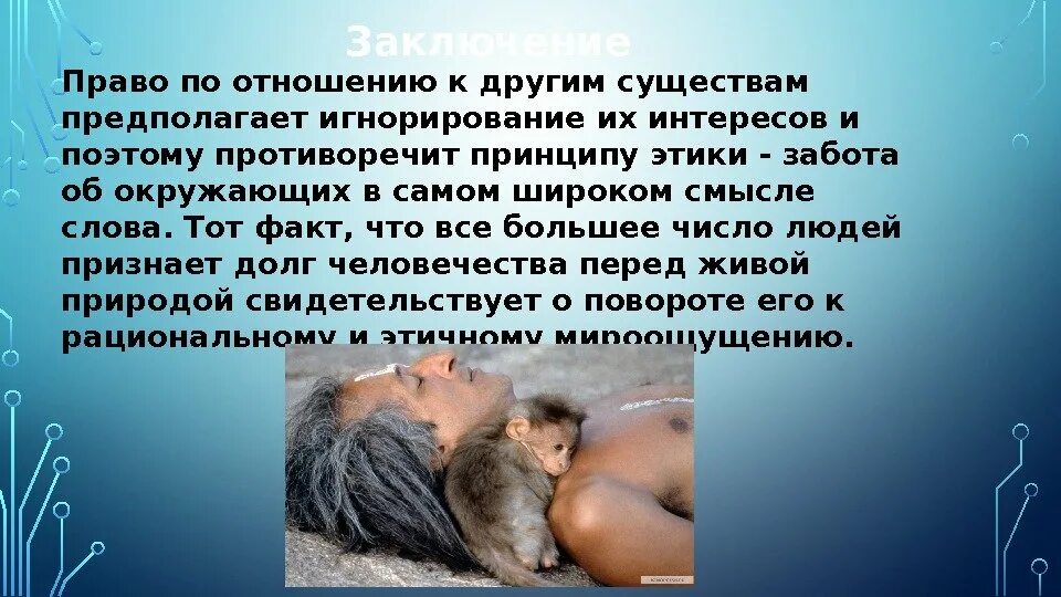 Как проявляется жестокость по отношению к природе